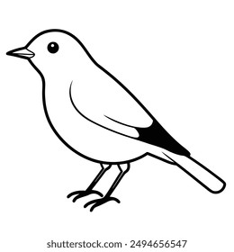 American Robin Bird Vector Line Art Illustration.