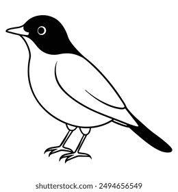 American Robin Bird Vector Line Art Illustration.