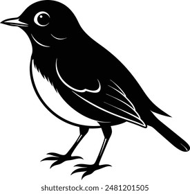 American Robin Birds Vector  Illustration