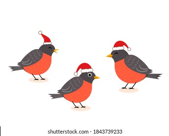 American robin birds wearing Santa hat on white background vector illustration.