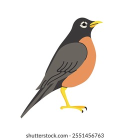 American robin icon clipart avatar logotype isolated illustration