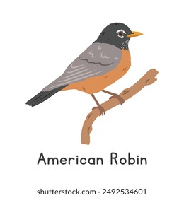 American robin perched on tree branch vector illustration, cartoon clipart character, animal in flat style. Wild animals, avian, birds concept. American robin vector design isolated on white