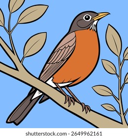 American Robin A sign of spring recognizable with its orange red chest