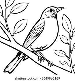 American Robin sitting in the branch vector with line art design