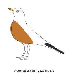 American robin (Turdus migratorius) continuous one line vector drawing. Bird hand drawn modern simple single lineart style. Sketch.