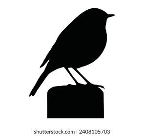 Vector de robo americano. Icono de vector robin americano en estilo plano.