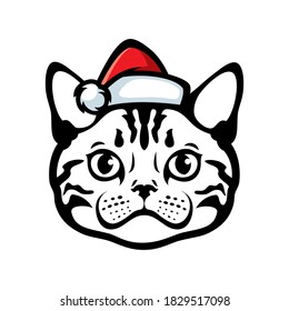 American short hair cat gray Tabby cat wearing santa claus hat