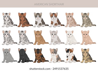 American Shorthair cat clipart. All coat colors set.  All cat breeds characteristics infographic. Vector illustration