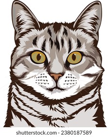 Ilustraciones del vector de caras de gato de Shorthair estadounidense para diseño gráfico, impresiones de camisetas, carteles y tazas