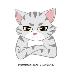 The  American Shorthair cat looking seriously emotion face and. Doodle art image.