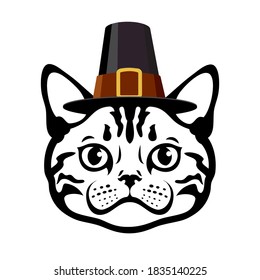 American Shorthair Cat With Pilgrim Hat Silver Tabby Cat