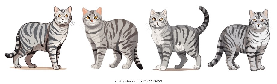 American Shorthair cat vector art, 4 styles cartoon, in the style of detailed character illustrations and smooth lines.