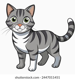 American Shorthair cat vector illustration isolated on white background in cartoon style.