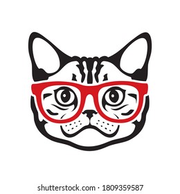 American shorthair cat wearing red eyeglasses Silver Tabby cat
