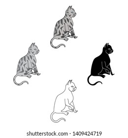 American Shorthair icon in cartoon,black style isolated on white background. Cat breeds symbol stock vector illustration.