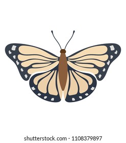 
American Snout Butterfly flat vector icon design

