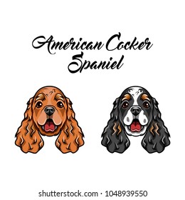 American spaniels. Icon with two spaniel dog. Dog breed. Vector illustration.