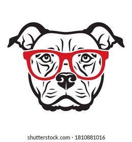 American Staffordshire bull Terrier dog wearing red eyeglasses isolated vector illustration