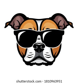 Perro Terrier del toro de Staffordshire americano con gafas de sol rojas ilustración vectorial aislada