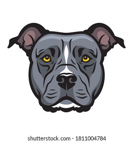 American Staffordshire bull Terrier dog  isolated vector illustration