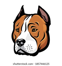 American Staffordshire bull Terrier dog isolated vector illustration