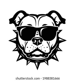 American Staffordshire bull Terrier dog with sunglasses - Pitbull, Staffordshire bull terrier - isolated vector illustration