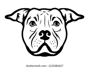 346 American staffordshire sketches Images, Stock Photos & Vectors ...