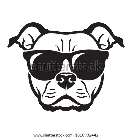 American Staffordshire bull Terrier dog wearing red sunglasses isolated vector illustration