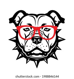 American Staffordshire bull Terrier with red eyeglasses, pitbull, bully - dog isolated vector illustration