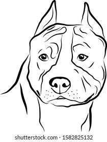 American Staffordshire Terrier, Amstaff. Isolated outlined sketch, logo contour vector illustration