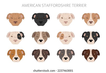 American staffordshire terrier clipart. Coat colors set.  All dog breeds characteristics infographic. Vector illustration svg