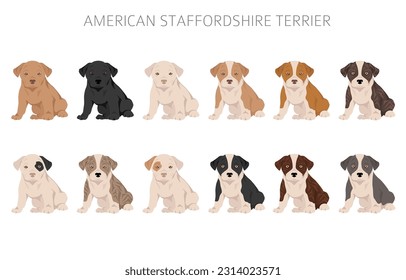 El equipo de personal americano fordshire terrier clipart. Colores de abrigo.  Todas las razas de perros tienen características infográficas. Ilustración del vector