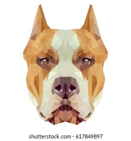 American Staffordshire Terrier dog animal low poly design. Triangle vector illustration.