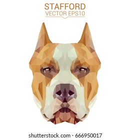 American Staffordshire Terrier dog animal low poly design.Vector Illustration.