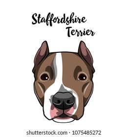 American Staffordshire Terrier dog face. Dog head muzzle. Dog breed. Vector illustration