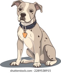 American Staffordshire Terrier dog - isolated vector illustration