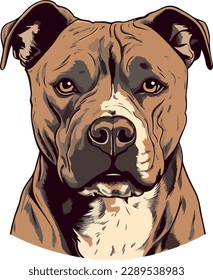 American Staffordshire Terrier dog - isolated vector illustration