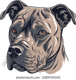 American Staffordshire Terrier dog - isolated vector illustration