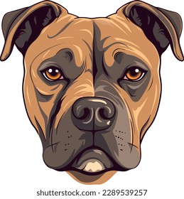 American Staffordshire Terrier dog - isolated vector illustration