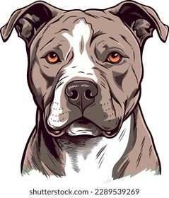 American Staffordshire Terrier dog - isolated vector illustration