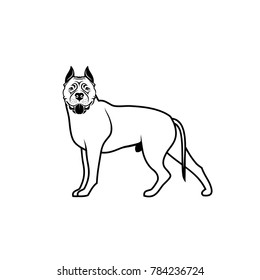 American Staffordshire Terrier dog - isolated vector illustration