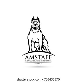 American Staffordshire Terrier dog - isolated vector illustration