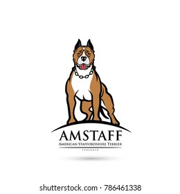 American Staffordshire Terrier dog - isolated vector illustration