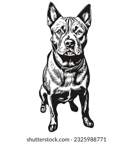 El logotipo del perro Terrier de Staffordshire americano vector blanco y negro, vintage lindo cabeza de perro grabado