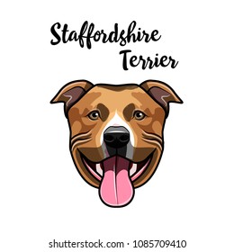 American Staffordshire Terrier portrait. Cute dog. Staffordshire Terrier head. Vector illustration.