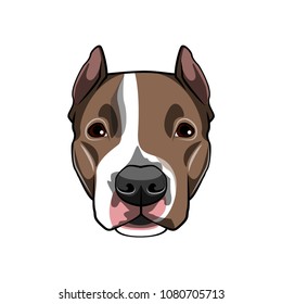 American staffordshire terrier portrait. Dog breed. Dog muzzle, head, face. Vector illustration