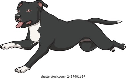 American staffordshire terrier running vector illustration