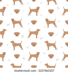 American staffordshire terrier seamless pattern. Vector illustration