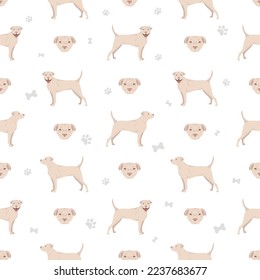 American staffordshire terrier seamless pattern. Vector illustration