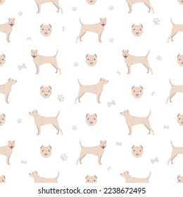 American staffordshire terrier seamless pattern. Vector illustration
